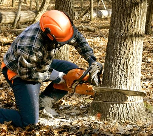 Tree Removal in Adair, OK